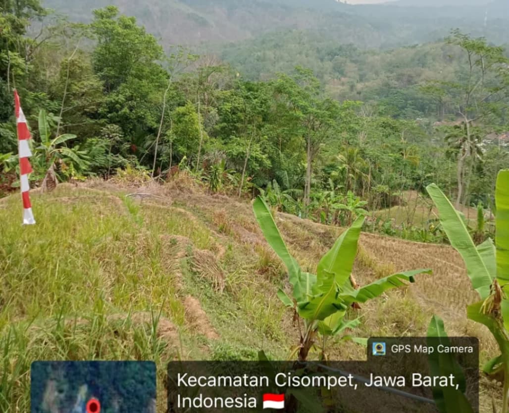 Tanah Kebun Produktif 0,97 Ha Cisompet Garut Rp 400 Juta